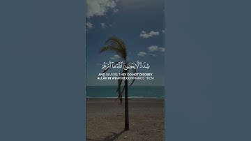 سورة التحريم - الآية 6-7 | همسات الإيمان  #whispersoffaithchannel #همسات_الإيمان #quran #قرآن