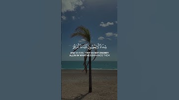 سورة التحريم - الآية 6-7 | همسات الإيمان  #whispersoffaithchannel #همسات_الإيمان #quran #قرآن