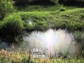 草取り歌