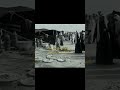 قصيدة طير السعد جنحانه بديرتك دوم ربابه جمال خليف قصيدة طير السعد جنحانه بديرتك دوم ربابه جمال خليف