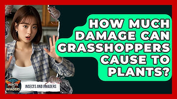 How Much Damage Can Grasshoppers Cause To Plants? - Insects and Invaders