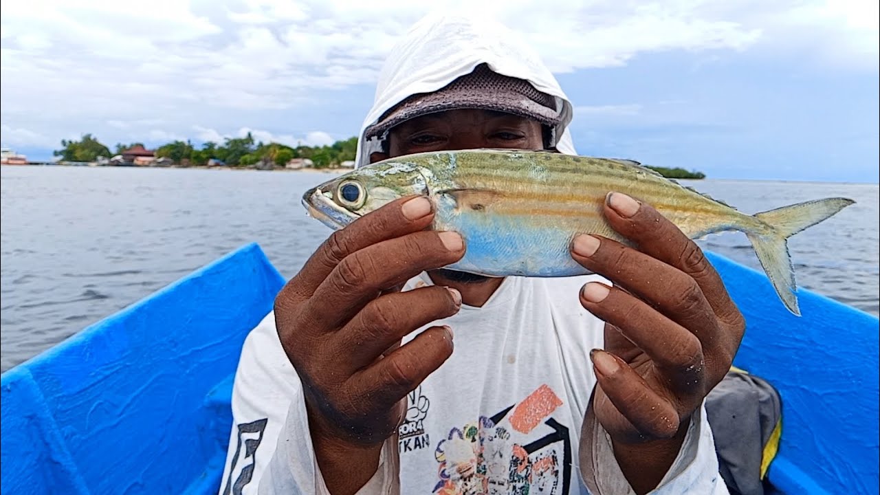 MANCING TROLLING IKAN TENGGIRI PAKAI UMPAN MATI 