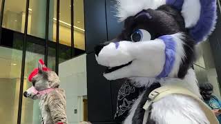 Turning Furrie!