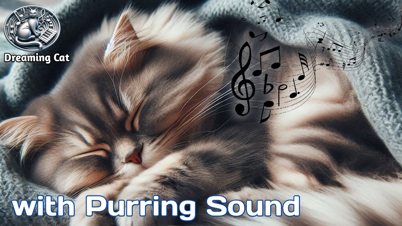 Picture of 12 Hours Calming Music for Cat with purring sounds - Peaceful Piano ...