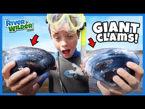 Kids catch GIANT CLAMS and NINJA CRABS?!