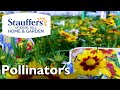 Pollinator-Friendly Plants for Your Garden!