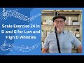 Scale Exercise 24 in D and G for Low and High D Whistles