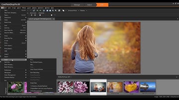 Working with Scripts in PaintShop Pro