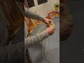 How To Make A Donkey With Palm Leaves Coptic عمل جحش اتان بالزعف 