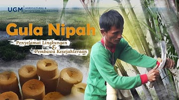 Video Dokumenter - Gula Nipah: Penyelamat Lingkungan & Pembawa Kesejahteraan