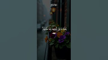 آية الكرسي بصوت القارئ ماهر المعيقلي 💙