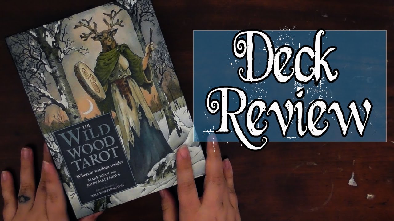 The Wildwood Tarot Deck Review Youtube The Wildwood Tarot Deck Review Youtube