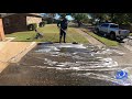 Pressure Washing Really Filthy Driveway (crazy result)