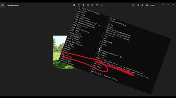 I removed exif data from images | python