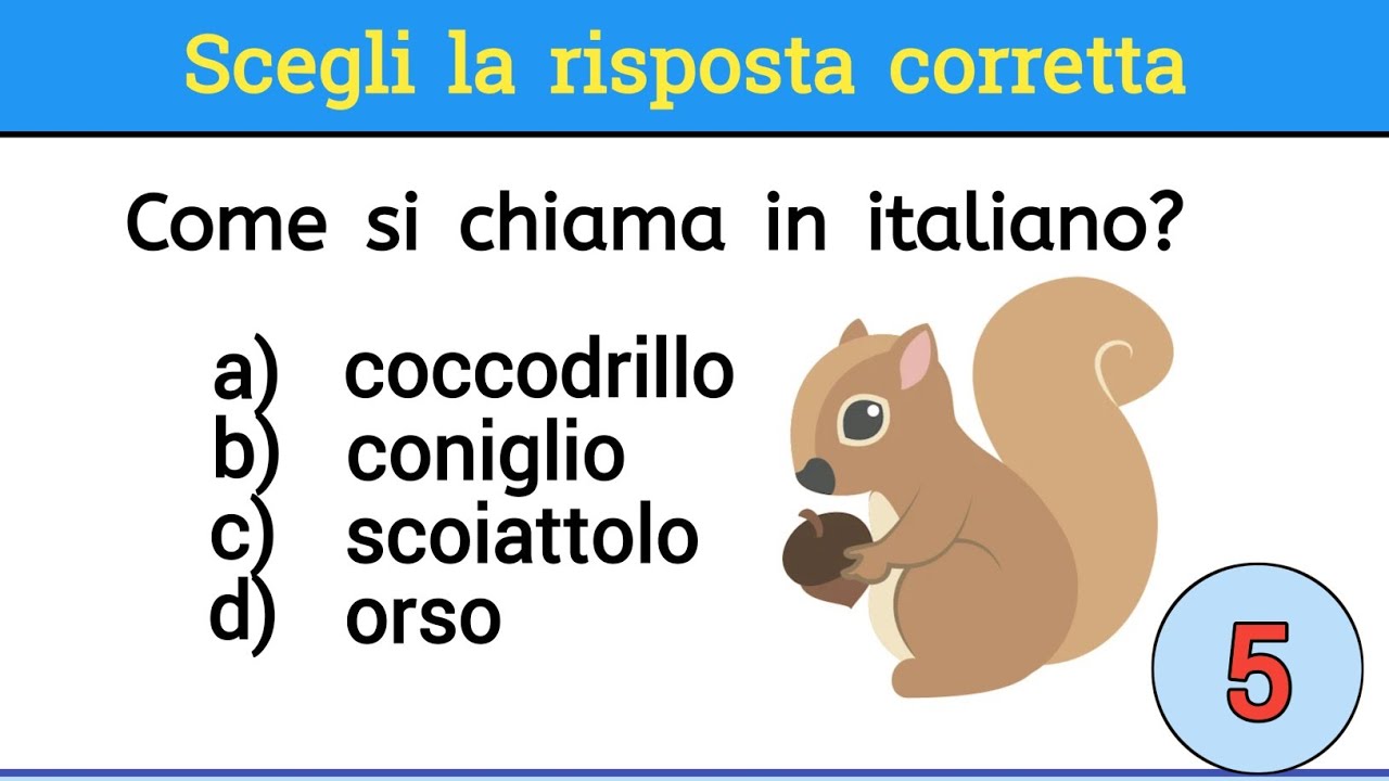 Italian quiz #335/Italiano per stranieri/Level A2/Come si chiama in italiano?