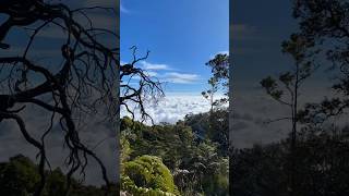 Tercengang Melihat Lautan Awan  Arjuno Welirang  Part 34