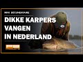 Dikke karpers vangen in nederland  mini documentaire  pb products w english subtitles