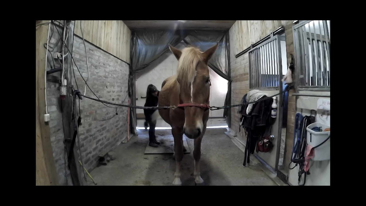 Varsomiseen valmistautumista ja esittelyä