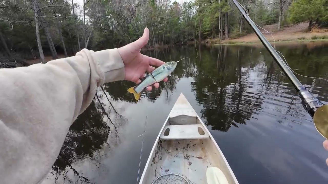 I Brought a Canoe to a Bass Fight