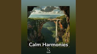 Harmonic Balance