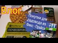 Влог/прогулка на рынок/фикс прайс, торфобрикеты для рассады и другие тов...