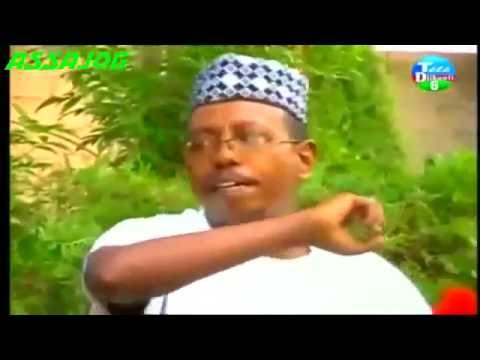 qasaid omar aden qasaid omar aden