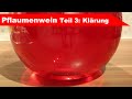 🍷 Pflaumenwein selber machen 🍷 Teil 3: schwefeln und klären - Finalisierung - Fermentastisch