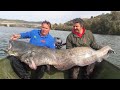 Pecanje velikih somova - Španija reka Ebro 3 | Fishing big catfish in Spain river Ebro