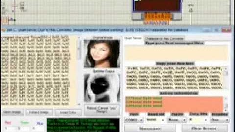 simulation 3310 LCDUART sending image