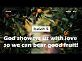 Isaiah 5god showers us with love so we can bear good fruit acad bible reading