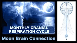 MOON BRAIN CONNECTION  *Sacred Secretion*  Monthly Cranial Respiration Cycle #mooncycles #alchemy