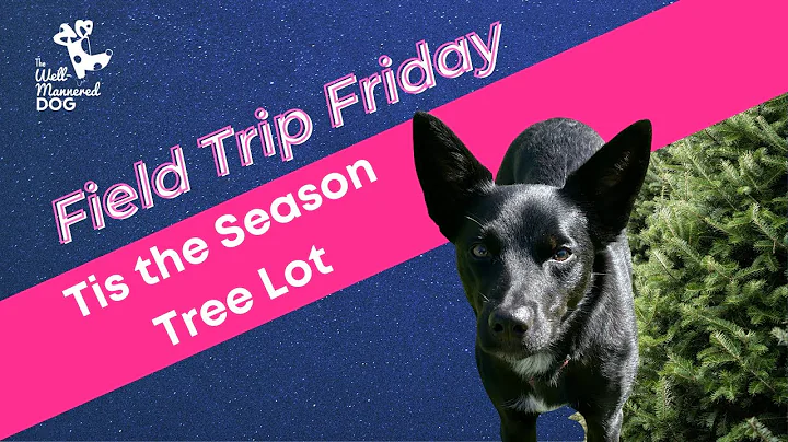 Field Trip Fridays   Youtube