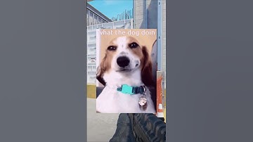 They can’t run nor Hide: 3k #cs2  #vertigo  #shorts