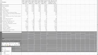 Clean Up and Transpose Census Data