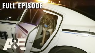 Live PD: Greatest Shifts – One Stop at a Time | Full Episode