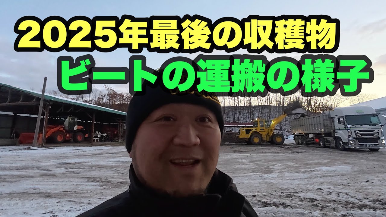 2025年12月6日　最後の収穫物　ビート運搬の様子