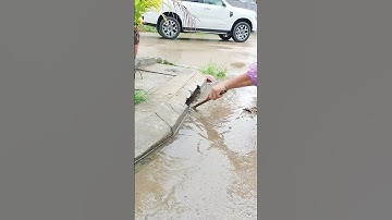 Remove Debris Clogged Culvert Drain #drain #unclog #remove #shorts