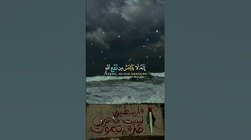وَلَا تَيْأَسُوا مِنْ رَوْحِ اللَّهِ♡゙ #القرآن_الكريم #quran #سورة_يوسف #فلسطين #الله #اجر_لي_ولك