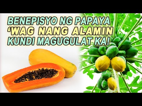 Video: Ano Ang Mga Pakinabang Ng Papaya At Paano Ito Kinakain