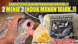 Download Lagu CUMA 2 MENIT 2 INDUK MAKAN TELAK UMPAN !! RACIKAN ANDALAN TERGILA UMPAN JAGUNG AMIS ANTI GAGAL ❗❗ MP3