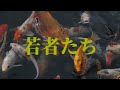 若者たち 森田健作