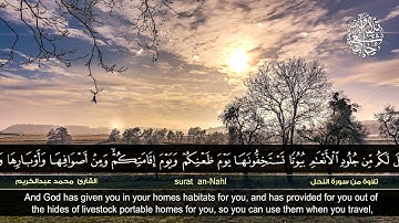 القارئ محمد عبدالكريم ::  يعرفون نعمة الله ثم ينكرونها