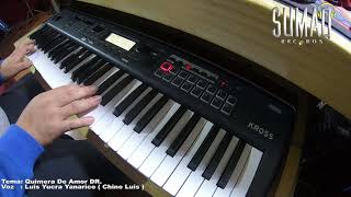 KORG KROSS 2 EDICION WAWA CON GUITARRA SAMPLER