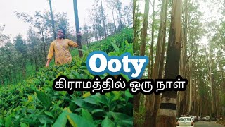 Unseen Ooty Villages | Jackfruit chips recipe | Stay inside Forest | Tea coffee plantations  | DAY 2