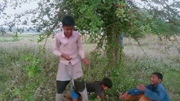 Pankaj Kumar Singh kasahtutvala