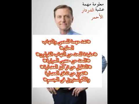 عشبة الدردار الأحمر