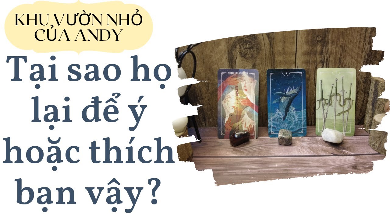 Chọn 1 tụ bài Tarot - Tại sao họ lại để ý hoặc thích bạn vậy? - Alo Andy