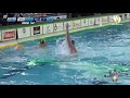 BPM Sport Management vs Pro Recco - Waterpolo Serie A 2018-2019