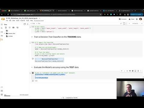 Machine Learning Workshop - June 25, 2024