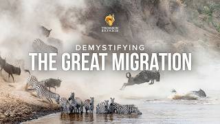 Webinar: Demystifying the Great Migration